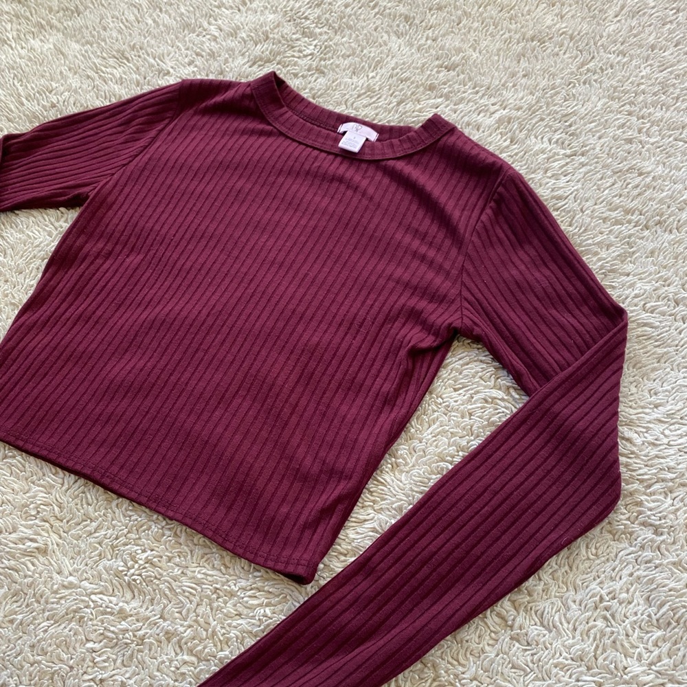 BP Wine/Maroon Small Crop Top